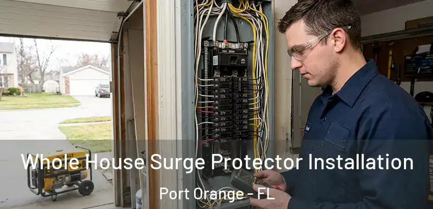 Whole House Surge Protector Installation Port Orange - FL